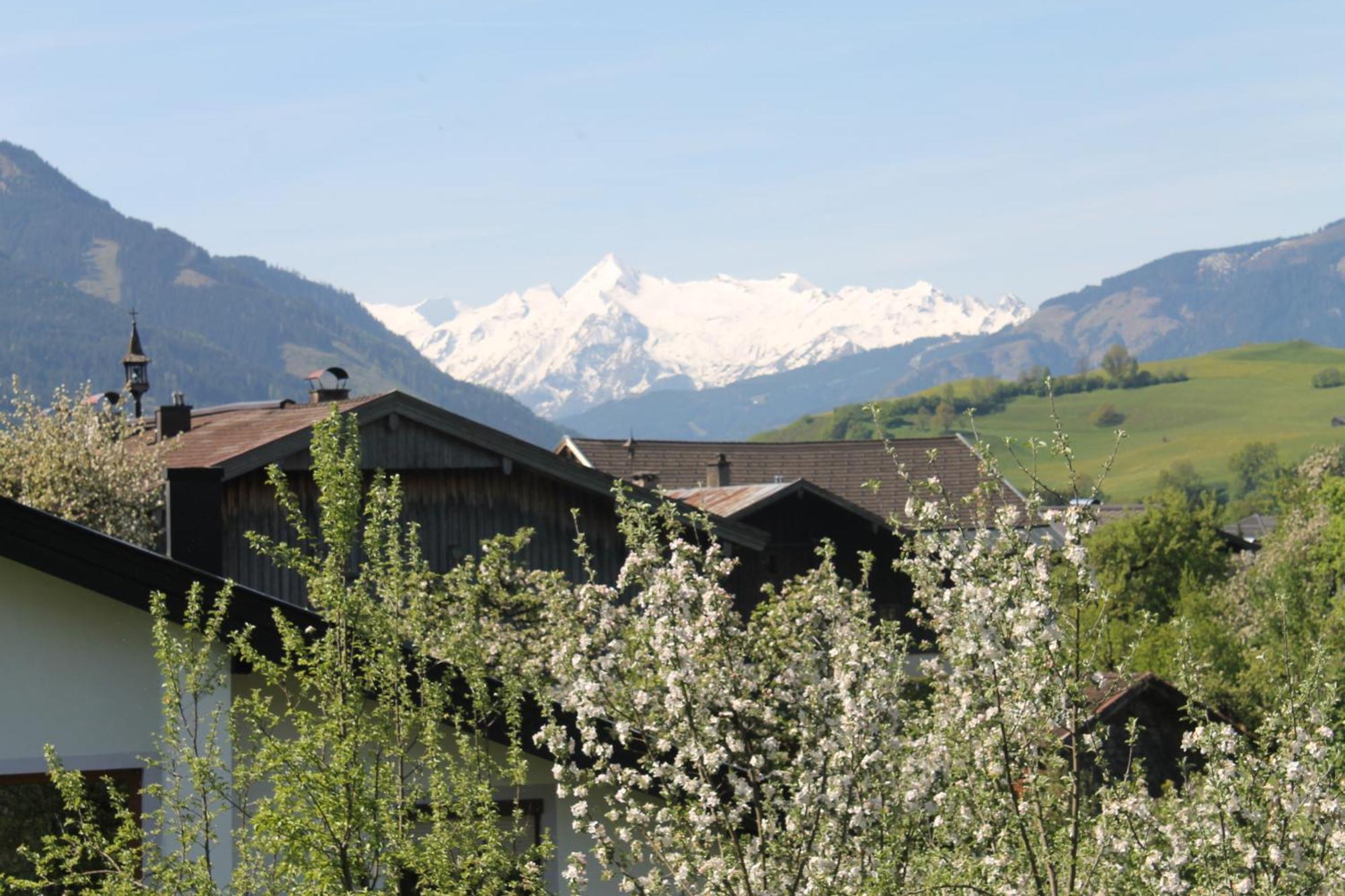 Haus Hartl Hotel Saalfelden Eksteriør billede